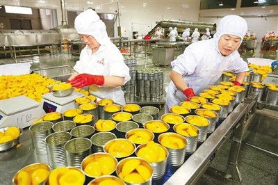 该公司是淮北市一家果蔬罐头生产大型企业,是集果蔬种植,加工,销售