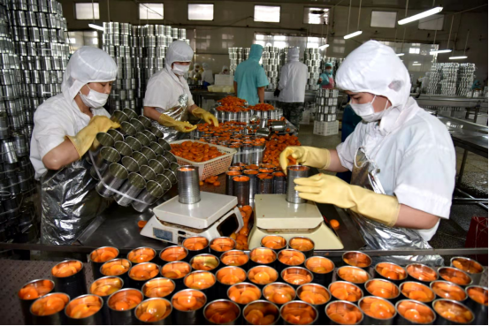 正文致力于做优质果蔬罐头的安徽省砀山兴达罐业食品,年生产